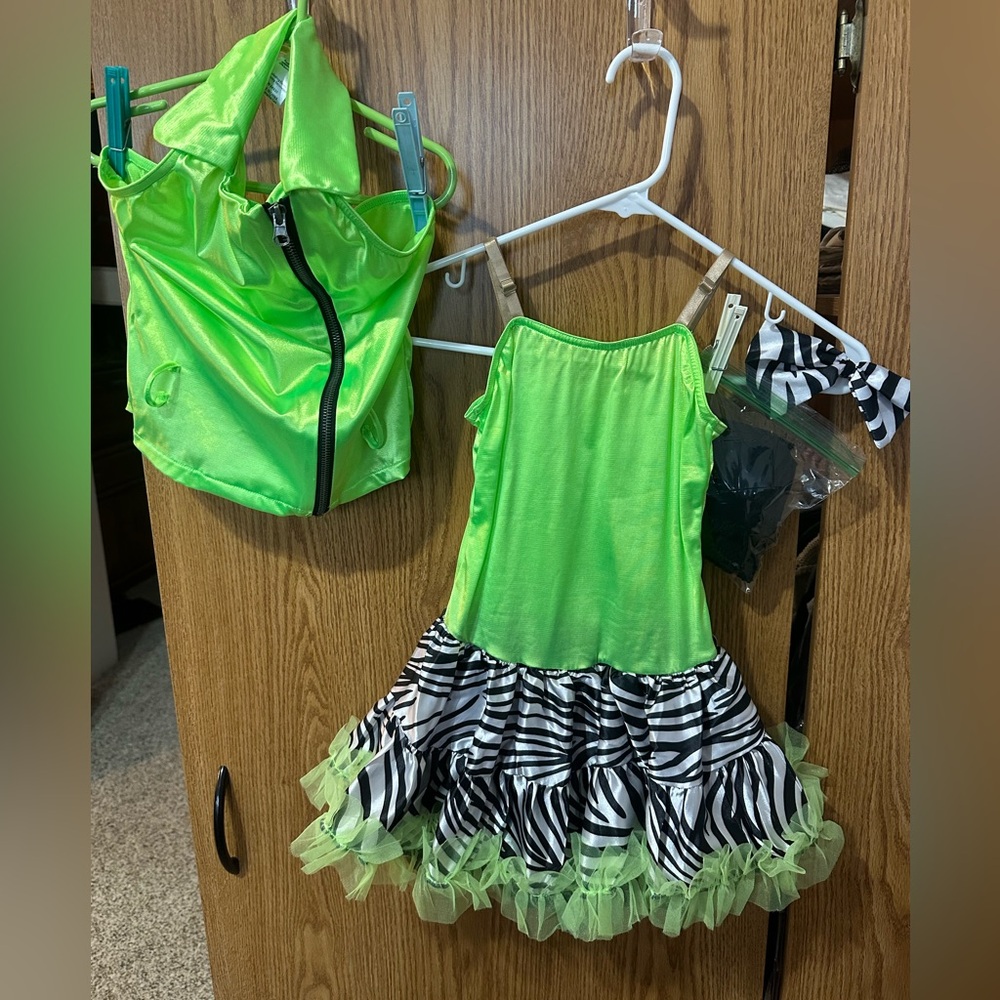 Costume/ Dress Up